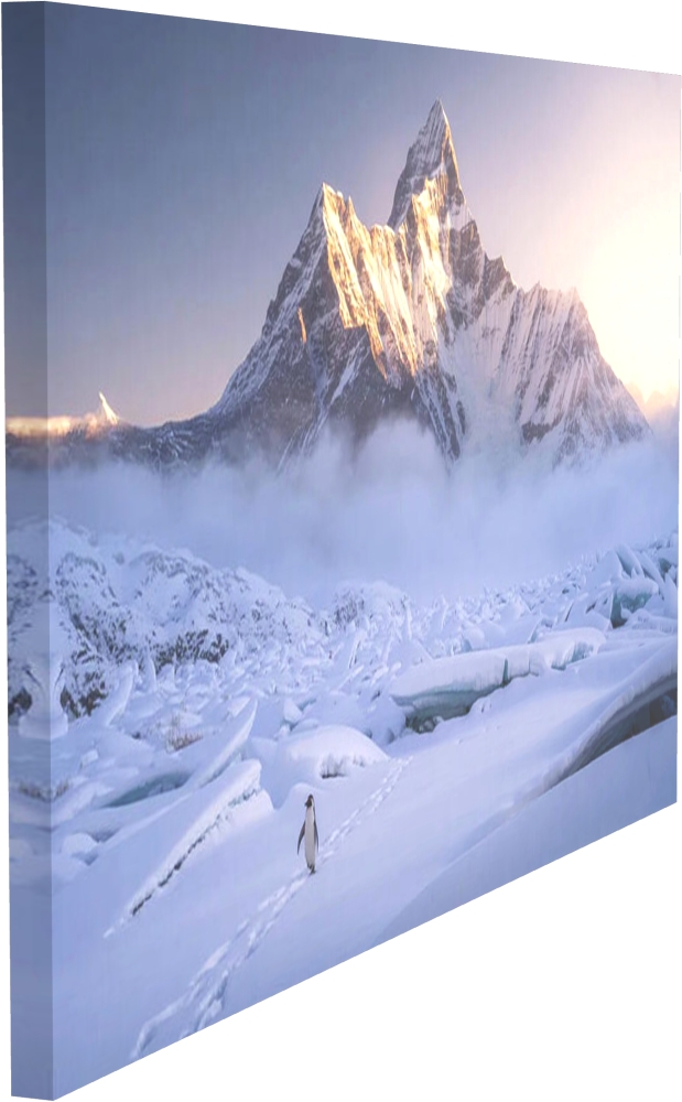 Bild 1 von Kunstfotografie Königliche Berglandschaft Süd Georgien einsamer Pinguin  by Andre Bergmann