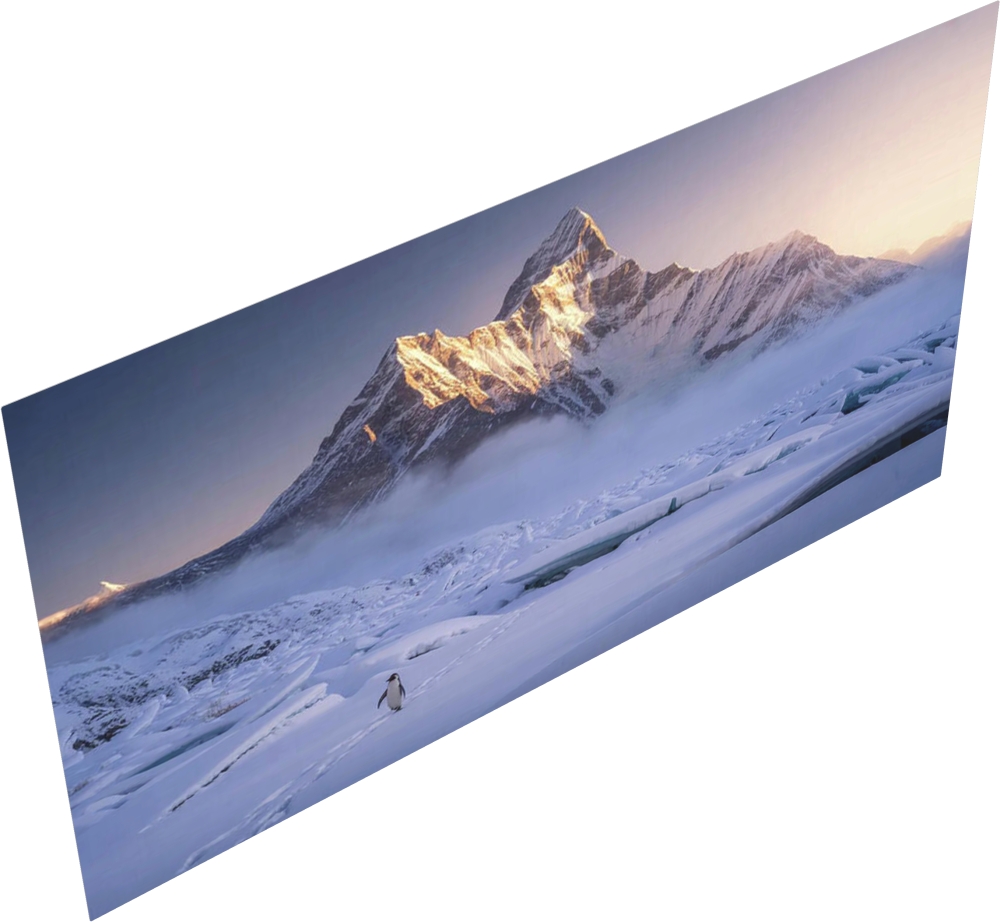 Bild 1 von Kunstfotografie Königliche Berglandschaft Süd Georgien einsamer Pinguin  by Andre Bergmann