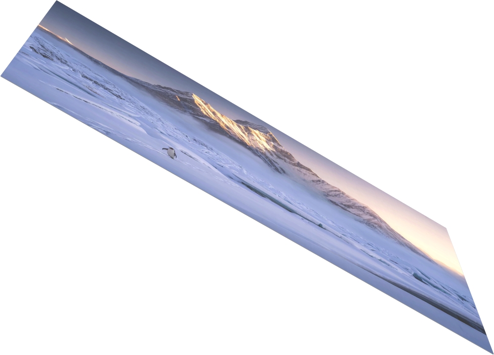 Bild 1 von Kunstfotografie Königliche Berglandschaft Süd Georgien einsamer Pinguin  by Andre Bergmann