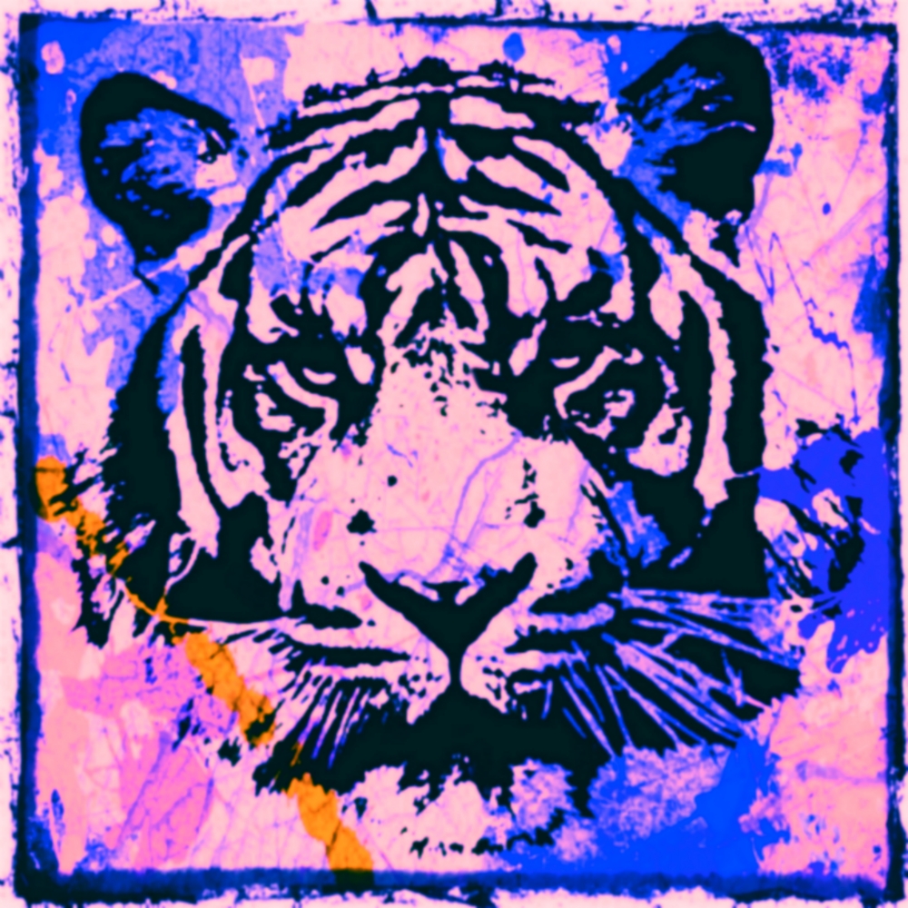 Bild 1 von Motiv Tiger Splash 02 - Blue Pink  by Felix von Altersheim