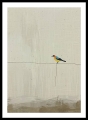 Bild 6 von Minimalismus Abstrakt einsamer bunter Vogel Edition of 50  / (Größe) 60x90 cm Leinwand gespiegelt