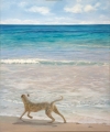 Bild 1 von Beach Dog walking around -  by Ursula & Martin Benad