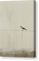 Bild 2 von Minimalismus Abstrakt einsamer bunter Vogel Edition of 50  / (Größe) 60x90 cm Leinwand gespiegelt
