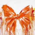 Bild 1 von Orange - Splash Schmetterling  / (Größe) 75 cm x 75 cm Acrylglas