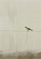 Bild 1 von Minimalismus Abstrakt einsamer bunter Vogel Edition of 50  / (Größe) 70x100 cm Leinwand gespiegelt